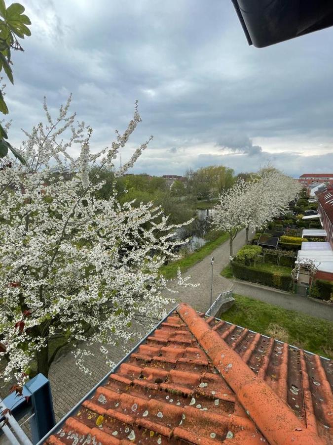 Grosszuegige Wohnung In Findorff BRE Exterior foto